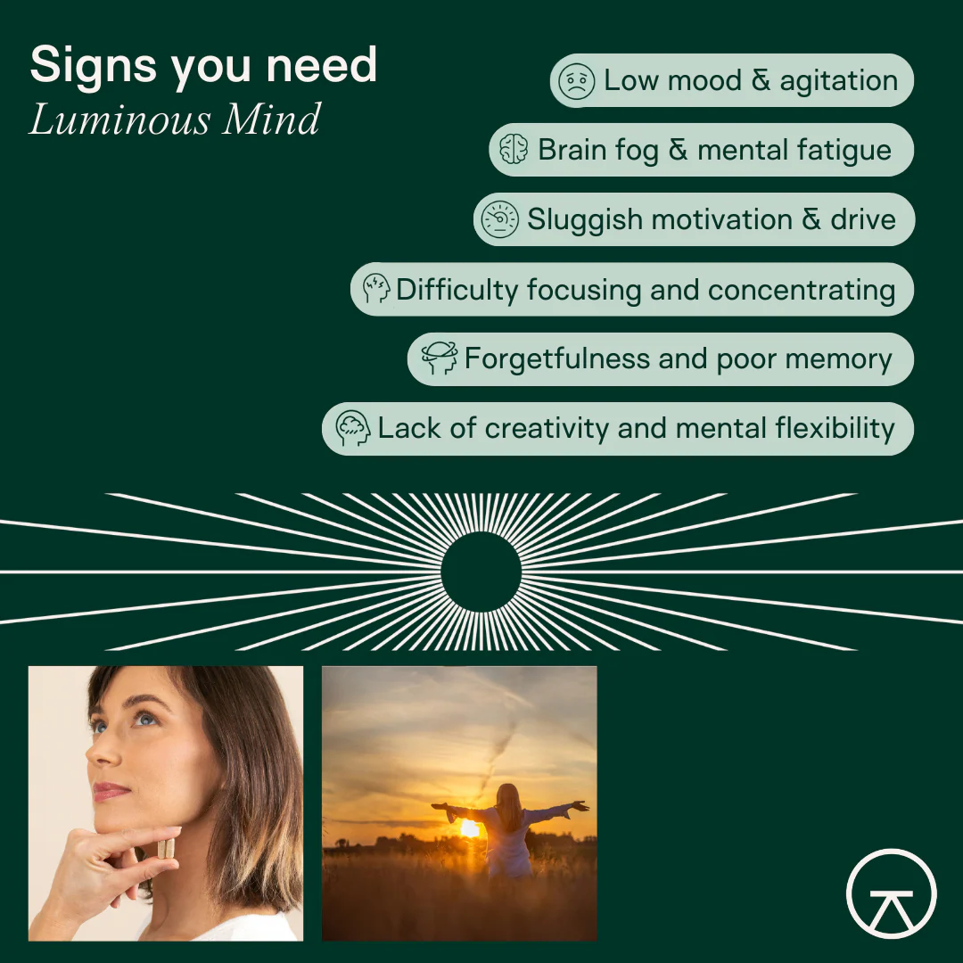 Luminous Mind - Image 4