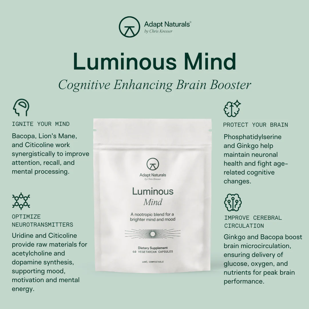 Luminous Mind - Image 5